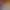 Reel image 4